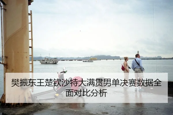 樊振东王楚钦沙特大满贯男单决赛数据全面对比分析