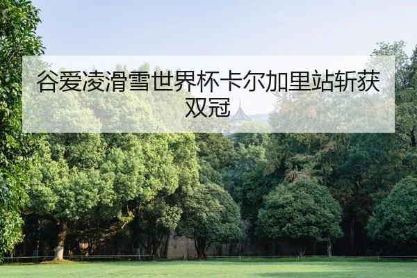 谷爱凌滑雪世界杯卡尔加里站斩获双冠
