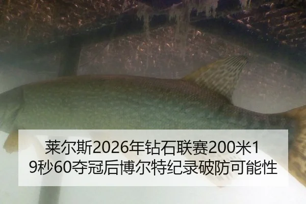 莱尔斯2026年钻石联赛200米19秒60夺冠后博尔特纪录破防可能性